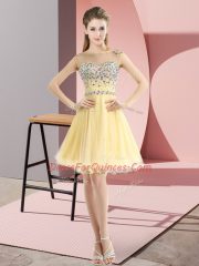Delicate Light Yellow Sleeveless Tulle Side Zipper Prom Dresses for Prom and Party