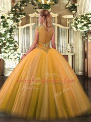Tulle Sleeveless Floor Length 15 Quinceanera Dress and Beading