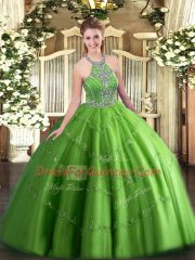 Beauteous Halter Top Sleeveless Lace Up 15 Quinceanera Dress Tulle