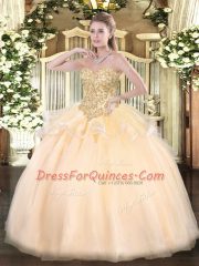 Champagne Ball Gowns Sweetheart Sleeveless Organza Floor Length Lace Up Appliques Sweet 16 Dresses