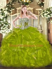 New Arrival Organza Sleeveless Floor Length Quinceanera Dress and Beading and Ruffles
