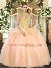 New Style Organza Sleeveless Floor Length 15 Quinceanera Dress and Embroidery