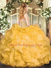 Hot Selling Baby Blue Organza Lace Up Sweetheart Sleeveless Floor Length Sweet 16 Dress Beading and Ruffles