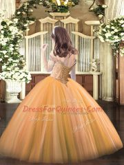 Off The Shoulder Sleeveless Little Girl Pageant Dress Floor Length Beading Baby Blue Tulle