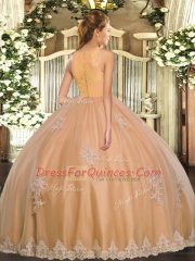 Fantastic Rose Pink Clasp Handle Scoop Lace and Appliques Quinceanera Dress Tulle Sleeveless