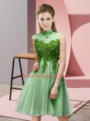 High-neck Sleeveless Lace Up Dama Dress for Quinceanera Apple Green Tulle