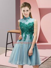 Luxury Aqua Blue Tulle Lace Up Dama Dress Sleeveless Knee Length Appliques