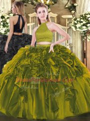 Pretty Organza Sleeveless Floor Length Ball Gown Prom Dress and Beading and Ruffles