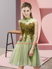 Latest Yellow Green Sleeveless Tulle Lace Up Quinceanera Dama Dress for Prom and Party and Wedding Party