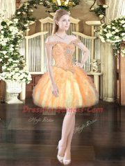 Gold Ball Gowns Off The Shoulder Sleeveless Organza Floor Length Lace Up Ruffles Vestidos de Quinceanera