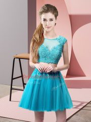 Tulle Sleeveless Mini Length Prom Gown and Appliques