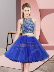 Royal Blue Sleeveless Tulle Backless Quinceanera Dama Dress for Prom and Party and Wedding Party