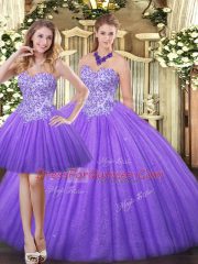 Appliques Sweet 16 Dress Eggplant Purple Zipper Sleeveless Floor Length