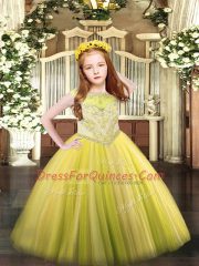 Yellow Sleeveless Tulle Zipper Girls Pageant Dresses for Party and Quinceanera
