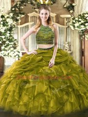 Custom Design Floor Length Olive Green Quinceanera Dress Halter Top Sleeveless Zipper