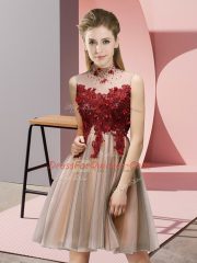 Knee Length Pink Dama Dress High-neck Sleeveless Lace Up