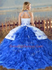 Exceptional Organza Sleeveless Quinceanera Gown Court Train and Embroidery and Ruffles