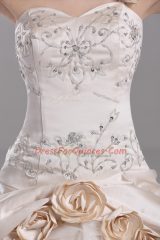 Vintage Brush Train Ball Gowns Quinceanera Gown Champagne One Shoulder Satin Sleeveless Lace Up