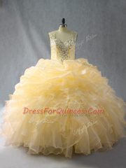 Custom Designed Straps Sleeveless Organza Quinceanera Gown Beading and Ruffles Zipper