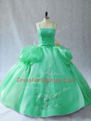 Organza Sleeveless Floor Length Sweet 16 Dresses and Appliques