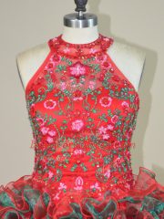 Classical Multi-color Sweet 16 Dress Brush Train Sleeveless Embroidery