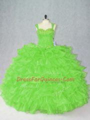 Sleeveless Beading and Ruffles Side Zipper Sweet 16 Dress