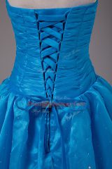 Custom Made Floor Length Ball Gowns Sleeveless Blue Vestidos de Quinceanera Lace Up