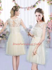 Champagne Sleeveless Tulle Lace Up Quinceanera Dama Dress for Wedding Party