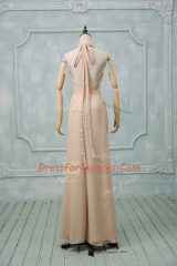Chiffon Sleeveless Floor Length Evening Dress and Ruching