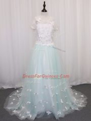 Apple Green Flower Girl Dresses Wedding Party with Appliques Scoop Short Sleeves Brush Train Clasp Handle