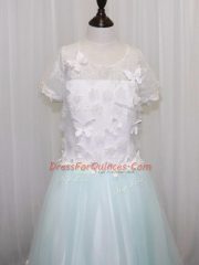 Apple Green Flower Girl Dresses Wedding Party with Appliques Scoop Short Sleeves Brush Train Clasp Handle