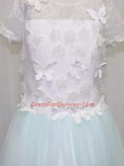 Apple Green Flower Girl Dresses Wedding Party with Appliques Scoop Short Sleeves Brush Train Clasp Handle