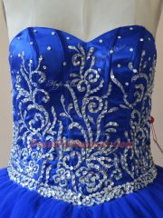 Glamorous Tulle Sleeveless Floor Length Sweet 16 Quinceanera Dress and Embroidery