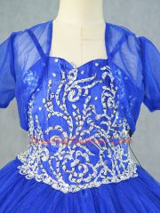 Glamorous Tulle Sleeveless Floor Length Sweet 16 Quinceanera Dress and Embroidery