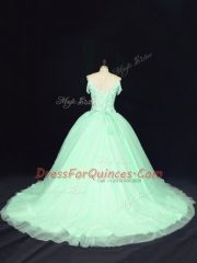 Pretty Apple Green Sleeveless Tulle Court Train Lace Up Quinceanera Dress for Sweet 16 and Quinceanera