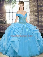 Baby Blue Sleeveless Beading and Ruffles Floor Length Quinceanera Gowns