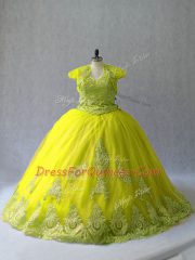 Exquisite Tulle Sleeveless Sweet 16 Quinceanera Dress Court Train and Appliques