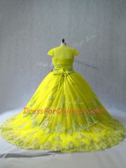 Exquisite Tulle Sleeveless Sweet 16 Quinceanera Dress Court Train and Appliques
