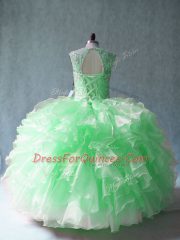 Ball Gowns Ball Gown Prom Dress Scoop Organza Sleeveless Floor Length Lace Up