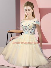 Excellent Knee Length Gold Dama Dress Tulle Short Sleeves Appliques