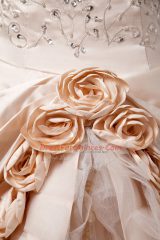 Enchanting Champagne Lace Up Ball Gown Prom Dress Embroidery and Hand Made Flower Sleeveless Brush Train