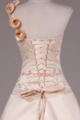Enchanting Champagne Lace Up Ball Gown Prom Dress Embroidery and Hand Made Flower Sleeveless Brush Train