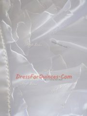 Off The Shoulder Sleeveless Organza Vestidos de Quinceanera Embroidery Lace Up