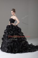 Black Sweetheart Lace Up Embroidery and Pick Ups Quinceanera Gowns Brush Train Sleeveless