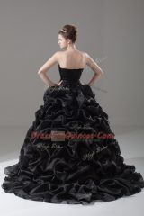 Black Sweetheart Lace Up Embroidery and Pick Ups Quinceanera Gowns Brush Train Sleeveless