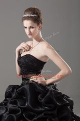 Black Sweetheart Lace Up Embroidery and Pick Ups Quinceanera Gowns Brush Train Sleeveless