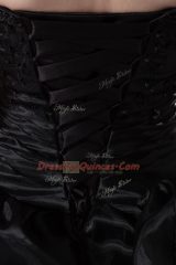 Black Sweetheart Lace Up Embroidery and Pick Ups Quinceanera Gowns Brush Train Sleeveless