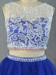 Ideal Royal Blue Sleeveless Floor Length Lace Zipper Quinceanera Gown