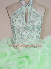 Hot Sale Sleeveless Fabric With Rolling Flowers Lace Up Sweet 16 Quinceanera Dress in Apple Green with Beading and Ruffles
