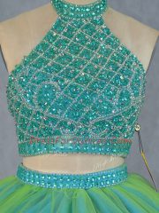 Amazing Halter Top Sleeveless Ball Gown Prom Dress Beading Green Tulle